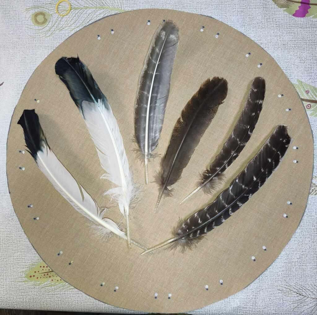 Plumas de águila tambor chamánico vegano